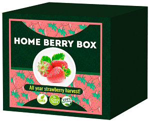 Home Berry Box opiniones 2020, precio, foro, donde comprar en farmacias, amazon, funciona, españa