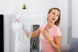 Frost Air Cooler precio